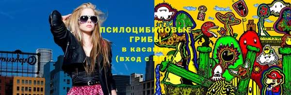 индика Богданович