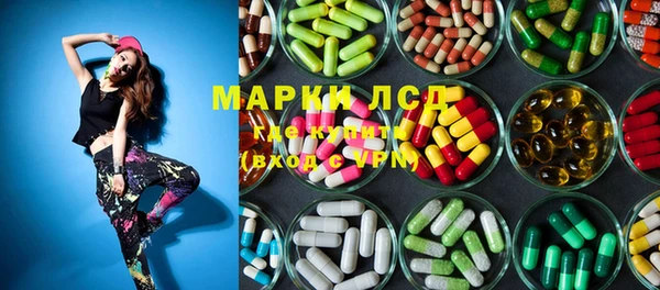 индика Богданович