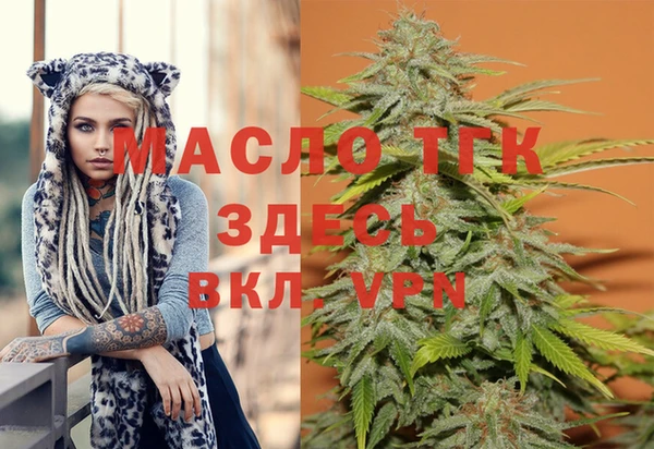 индика Богданович
