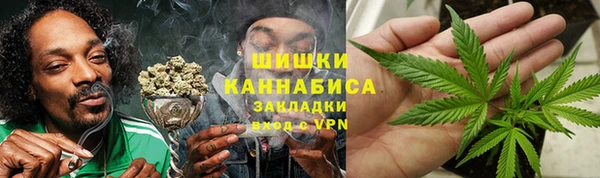 стафф Богородицк